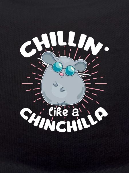 Chinchilla