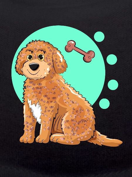 Cockapoo Dog