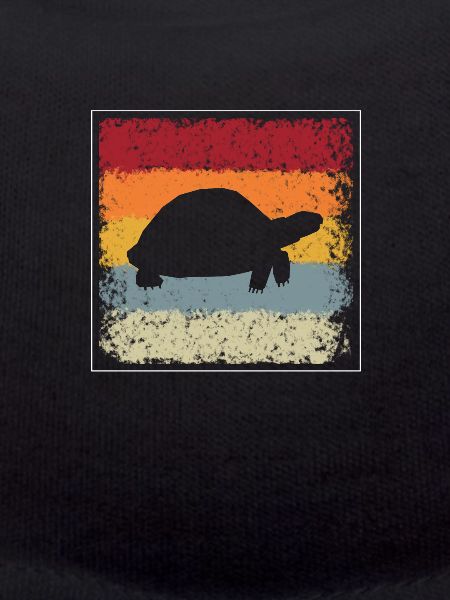 Turtle Retro