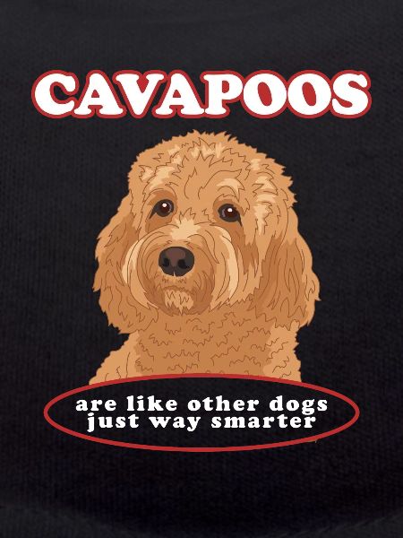 Cavapoo Hund Cavoodle Hundebesitzer Geschenk