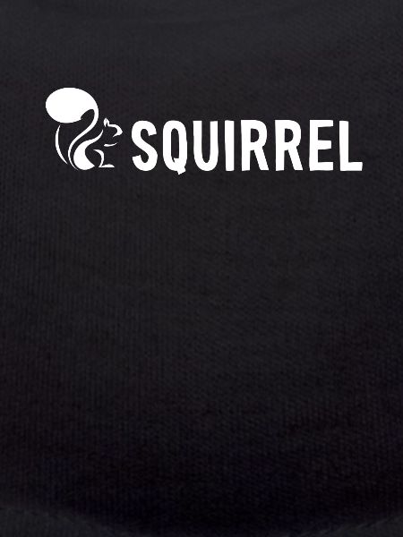 Squirrel Fuchshörnchen Grauhörnchen Squirrel