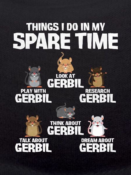 Gerbil Mouse Gift