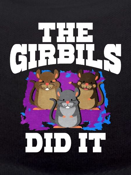 Gerbil Mouse Gift