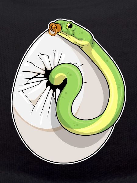 Snake Baby Pacifier