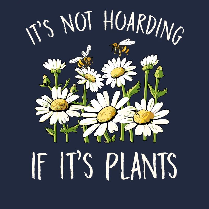 Margeriten Gänseblümchen Sommer Gänseblümchen Blumengarten