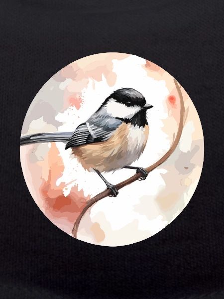 Chickadee bird