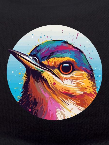 Wren bird