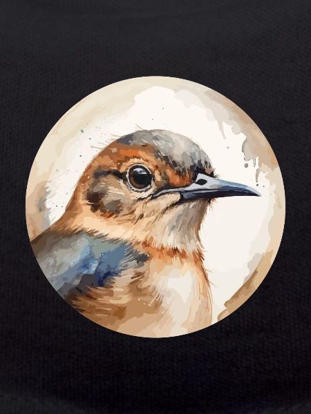 Wren bird