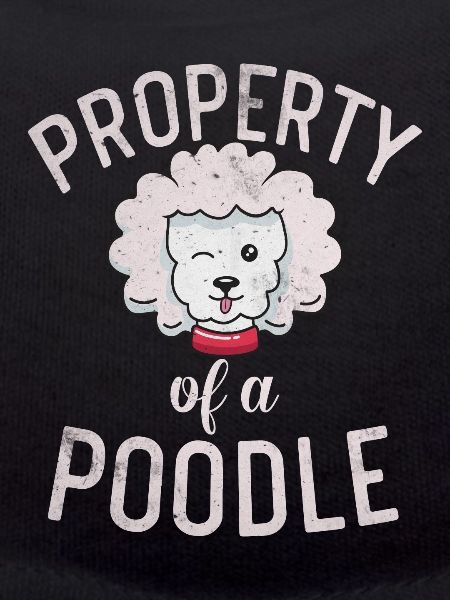 Cadeaux Caniche