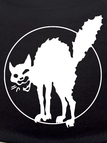 Anarchy Cat