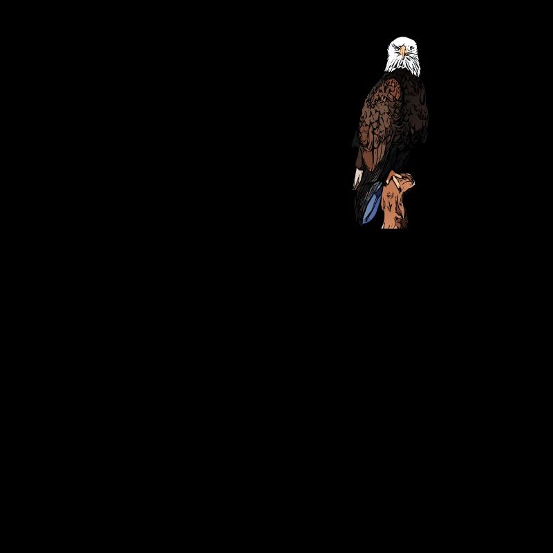 Weisskopfseeadler