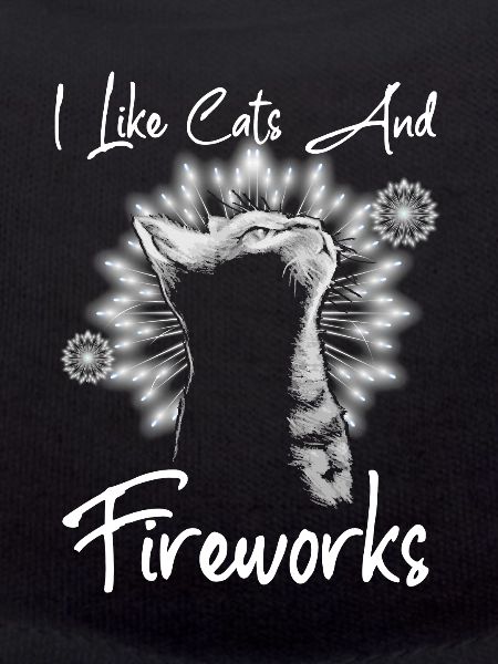 Cats And Fireworks