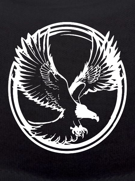 Strong eagle silhouette