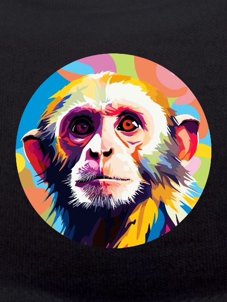 Capuchin monkey