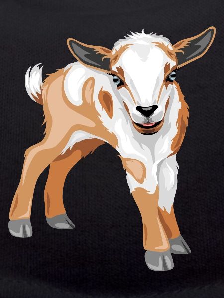 Cute goat