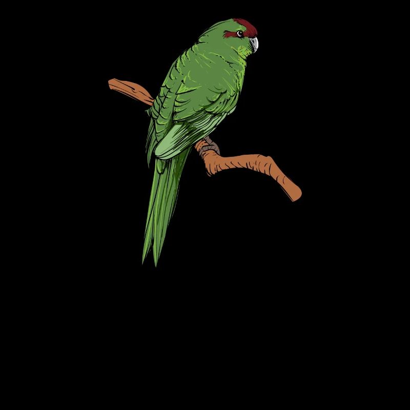 Perruche de chèvre I Motif de perruche pour porte-oiseau