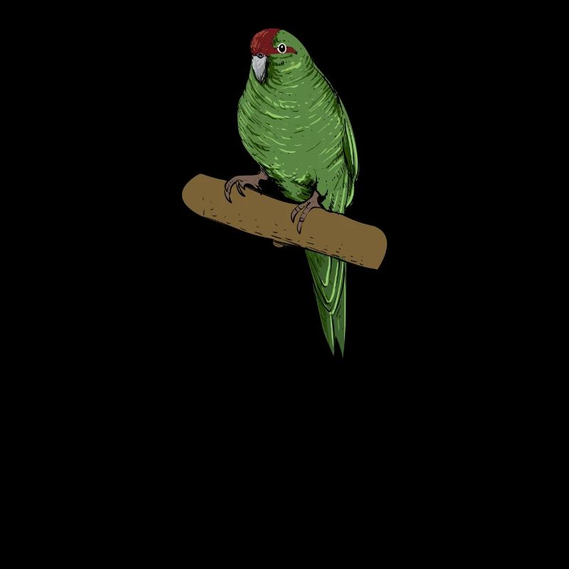 Perruche de chèvre I Motif de perruche pour porte-oiseau