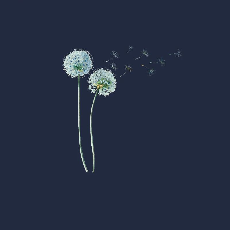 Löwenzahn Dandelion