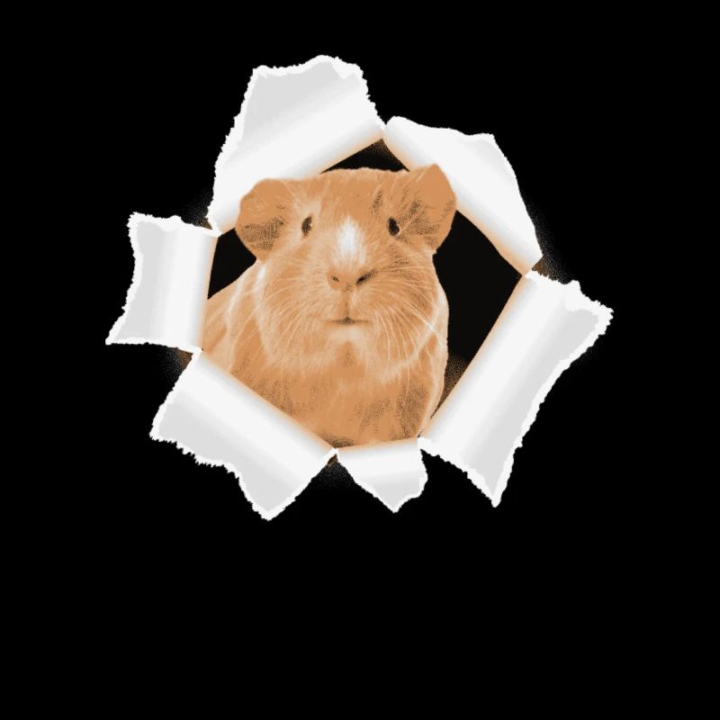 Hamster peeking through a hole