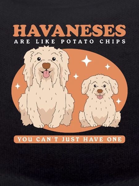Havaneser Hunde Hundebesitzer Geschenk