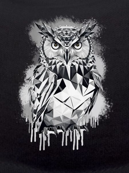 Geometric owl
