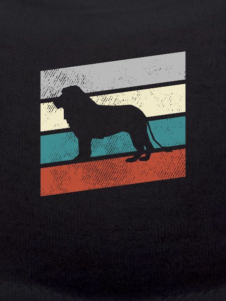 Lion Retro