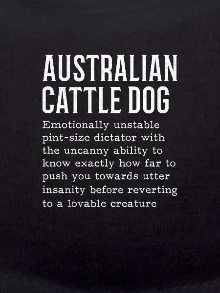 Bouvier australien
