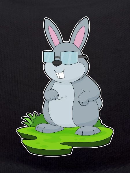 Lunettes de lapin