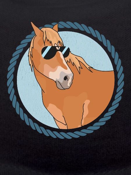 Haflinger Pferde | Haffi Pferdebesitzer Geschenk