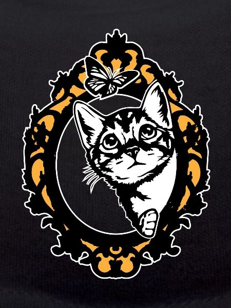 Baby cat