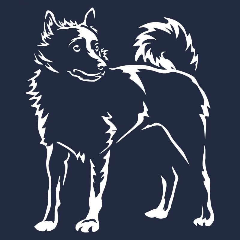 Schipperke « Édition Noire »