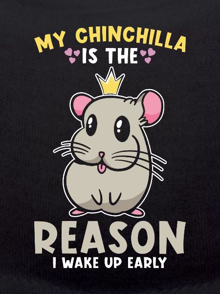 Chinchilla Cute