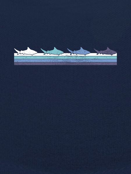 Requin
