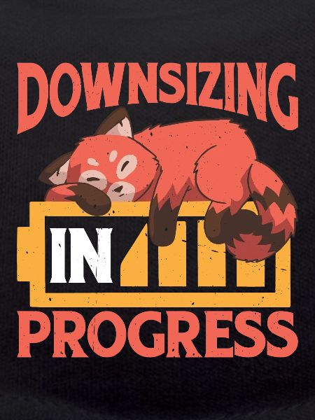 Downsizing In Progress 24