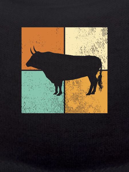 Stier