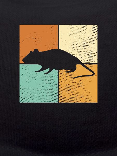 Souris