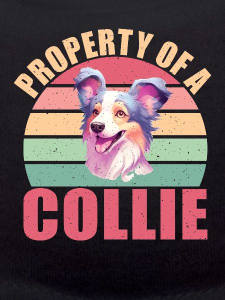 Cadeaux Collie