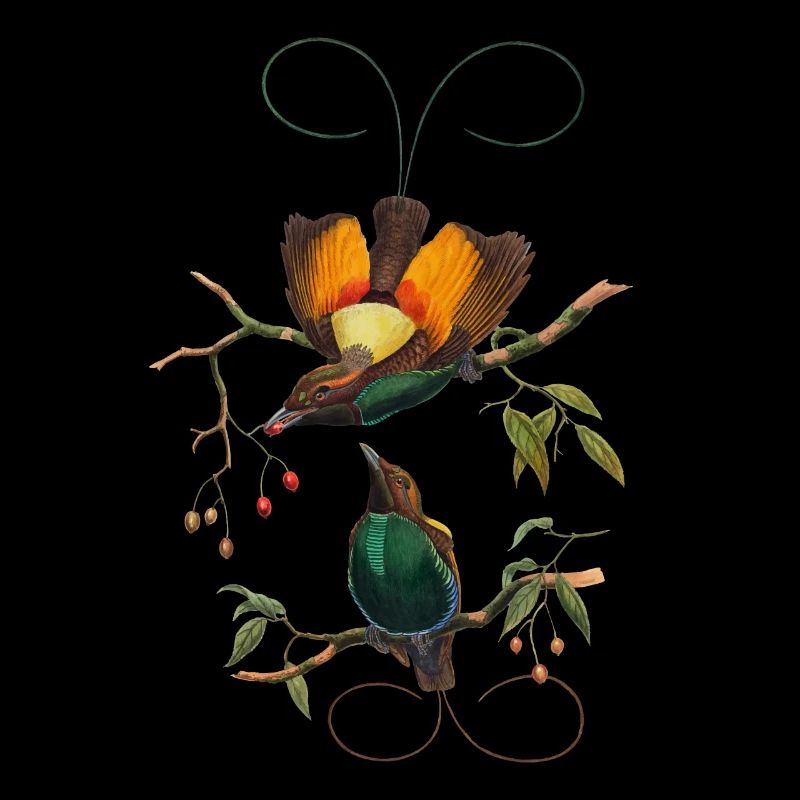 Drôle d’observation d’oiseaux