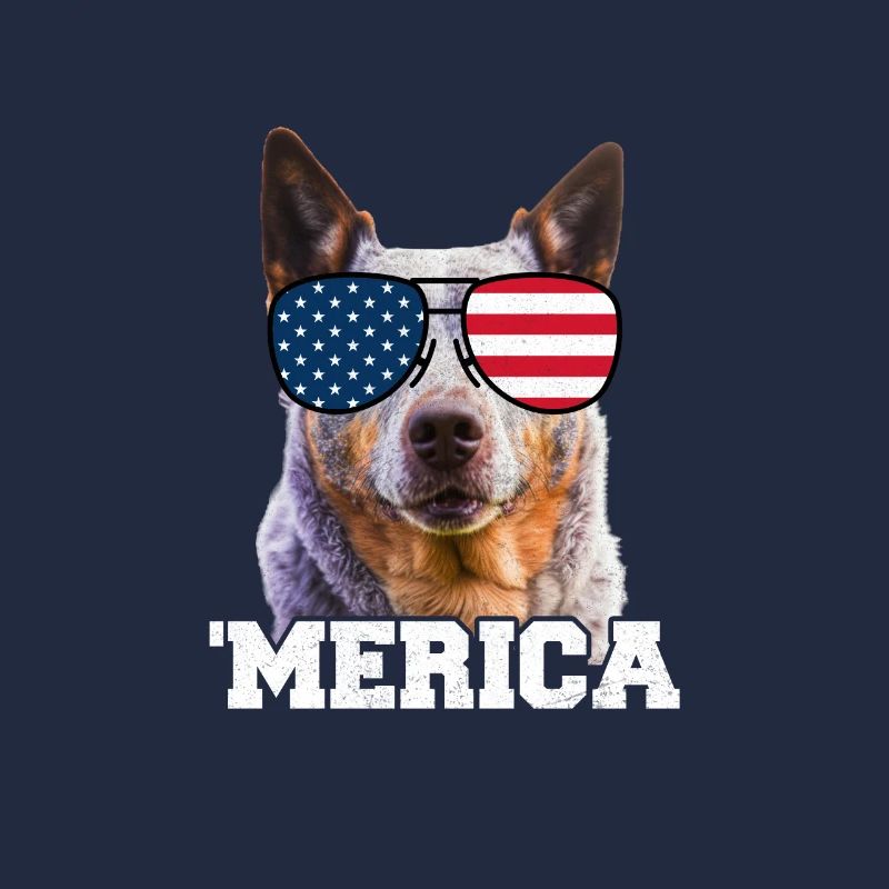 Bouvier australien États-Unis