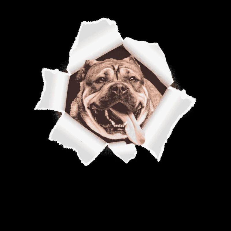 Dog peeking through a hole