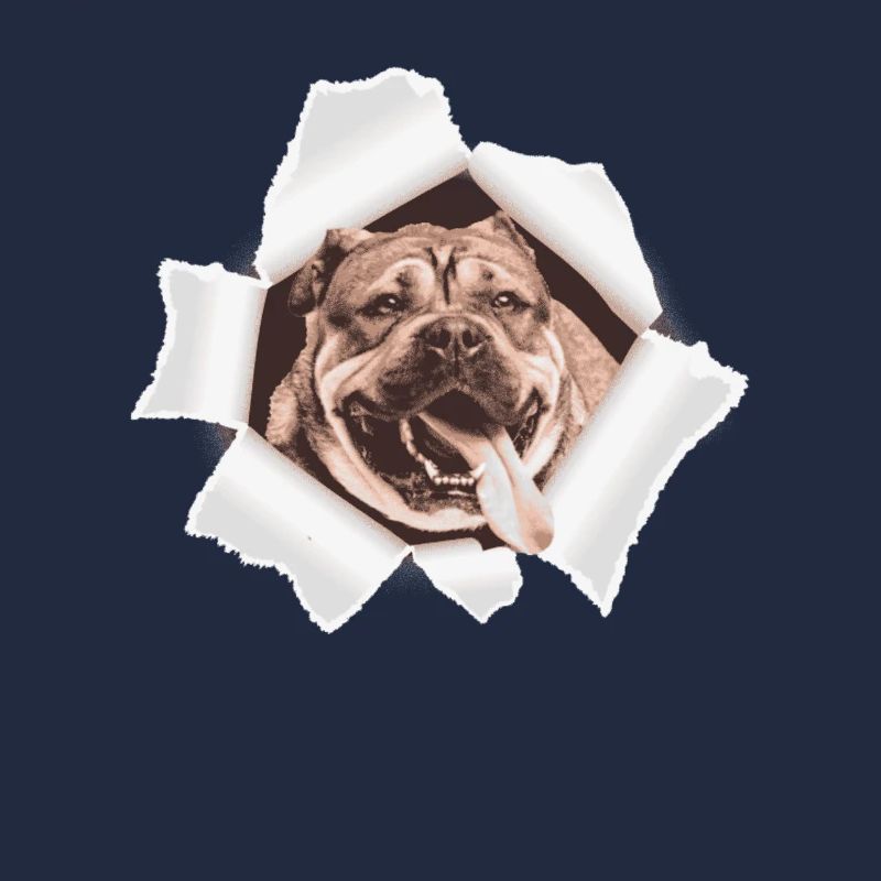 Dog peeking through a hole