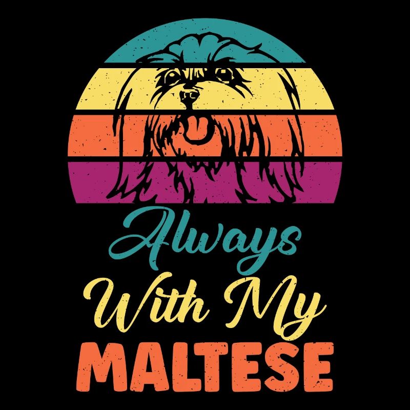 Cadeaux de propriétaire maltais