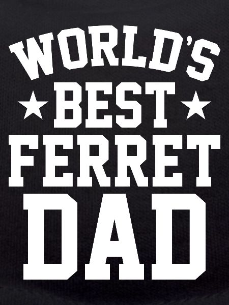 Frettchen Papa
