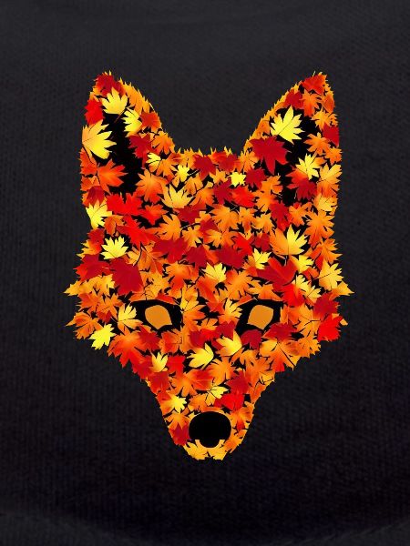 Herbstfuchs