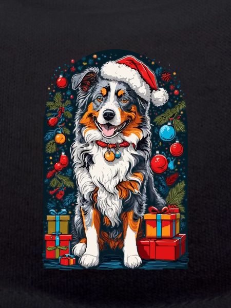 Funny Australian Shepherd With