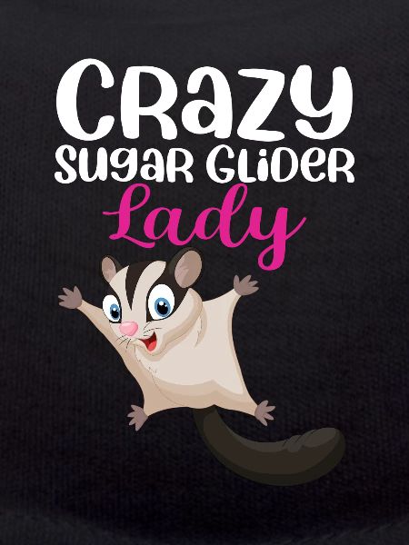Sugar Glider Flying Squirrel