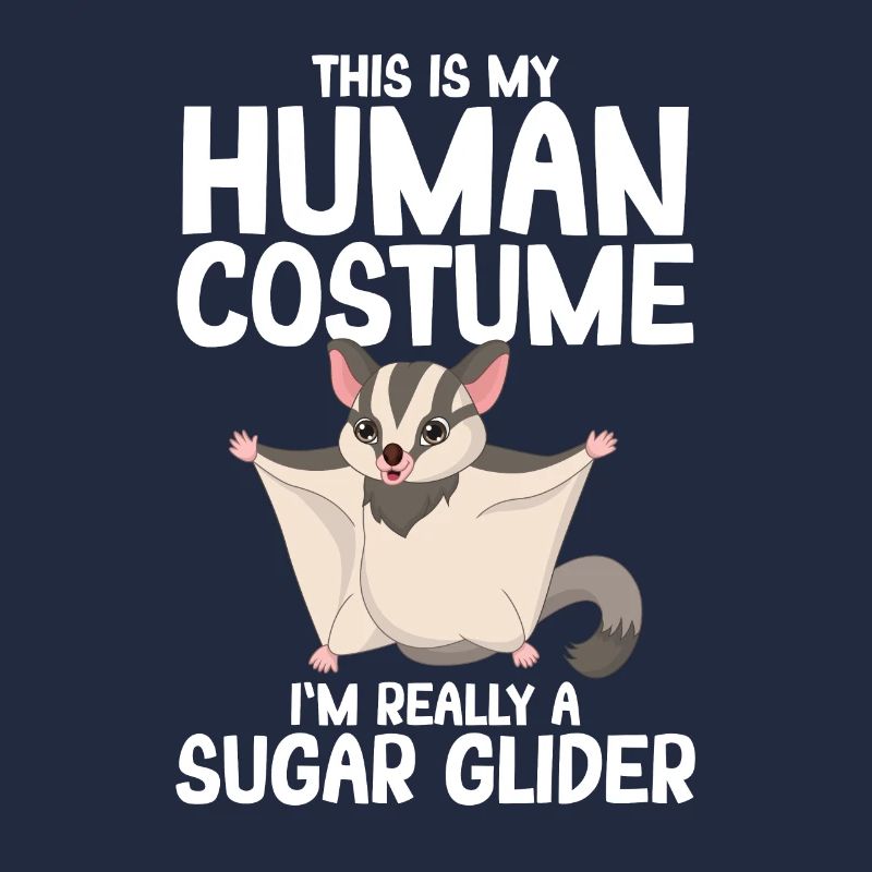 Sugar Glider Flughörnchen