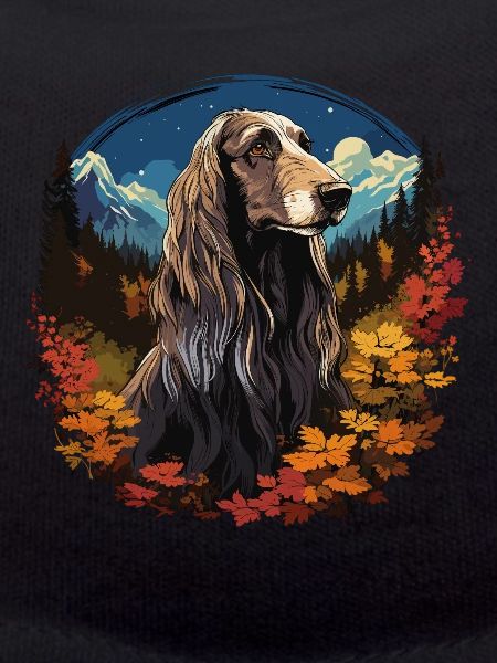Dog Afghan Hound