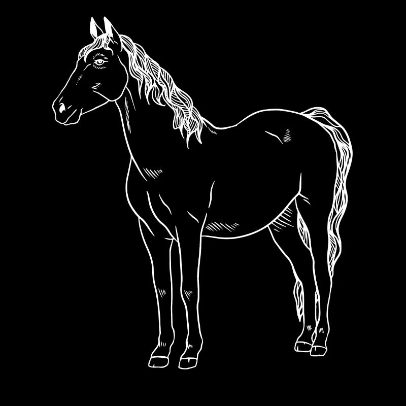 Chevaux : majesté et grâce combinées