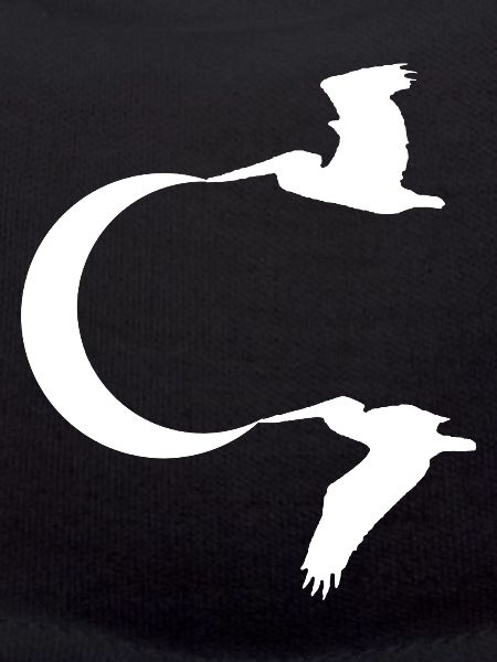 Les oiseaux et la lune